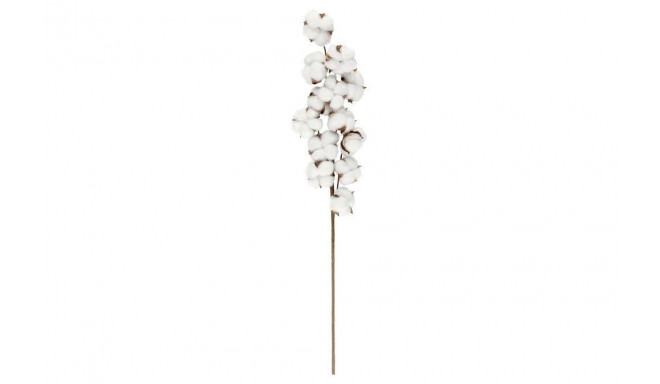 4Living Decorative branch cotton 70 cm