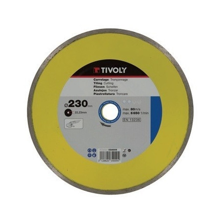 Diamond disc Tivoly continuous 115x22,2mm