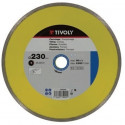 Diamond disc Tivoly continuous 115x22,2mm