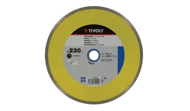 Diamond disc Tivoly continuous 115x22,2mm