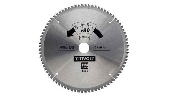 Diskinis pjūklas kietmedžiui Tivoly 250x30mm, z80, 3°, (20mm adapteris)