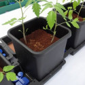 Automaatse kastmisega taimepott Autopot 15L, 1 taim