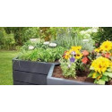 ERGO Raised bed Wood Module