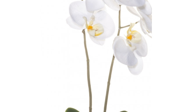 4Living orchidėja vazone 59 cm