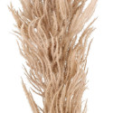 Pampas žolė ruda 82 cm