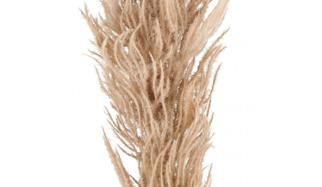 Pampas žolė ruda 82 cm