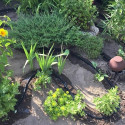 Watering hose AQUA-DROP 1/2" - 25m