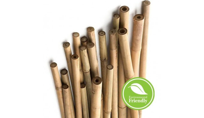 Bambooo pole/stick 120cm 12/14mm