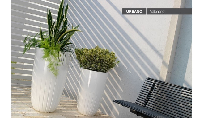 VALENTINO ESSENTIAL 50cm ROSSO CARDINALE