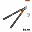 Pruning shears, passing blade