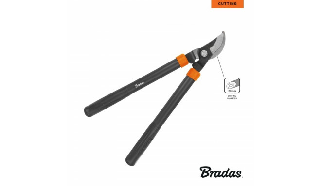 Pruning shears, passing blade