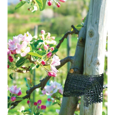 Sidumispael taimedele - põõsastele - puudele Bradas 3cm x 50m