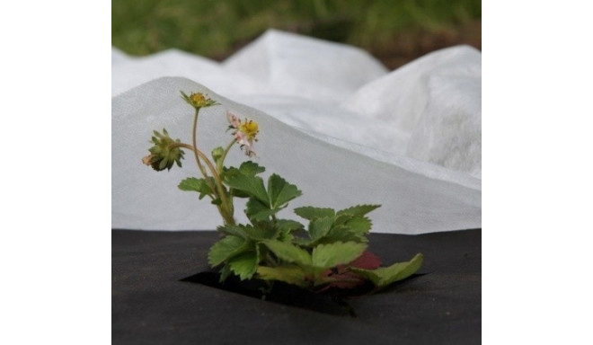 Non-woven 17g/m² spring, white, 1,6 x 5m