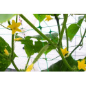 PLANT NET 8g/m2   15x17cm 2x10m