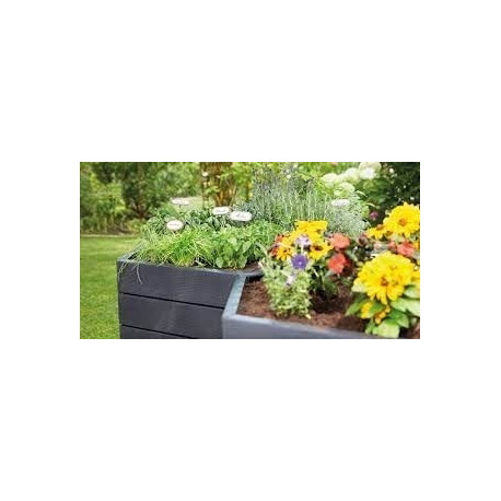 ERGO Raised bed Wood Module XL