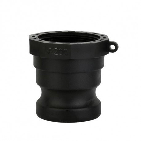 A TYPE plug with 2" female - PP