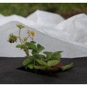 Non-woven 17g/m² spring, white, 1,1 x 100m