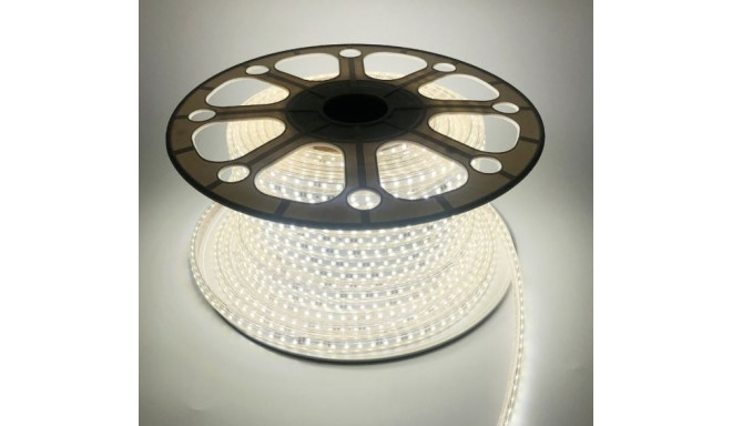 LED riba Tamoline, 50m