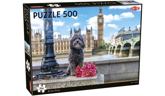 Tactic pusle 500 tk Koer Londonis