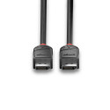 CABLE DISPLAY PORT 1M/BLACK 36491 LINDY