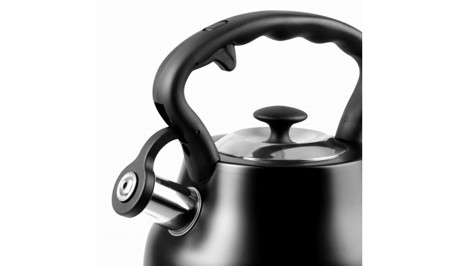 PROMIS Kettle 3.0 L, ANDREA, matt black, black handle