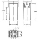 Kaitse jaapani 30A