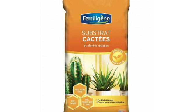 Plant fertiliser Fertiligène 6 L