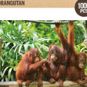 Puzzle Colorbaby Orangutan 6 Units 68 x 50 x 0,1 cm