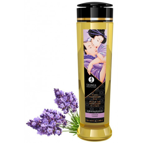 Shunga massaažiõli Sensation Lavender 240ml