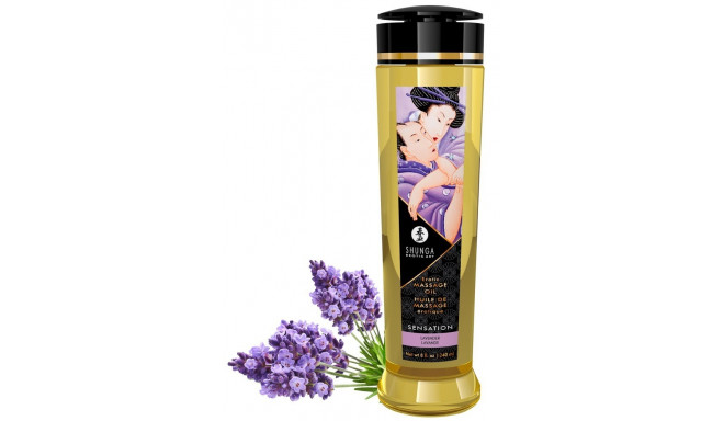 Olejek do masażu Sensation Lavender 240ml Shunga