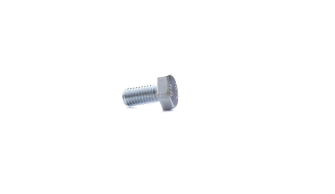 polt (DIN933 M12X50 ZN) 10 tk