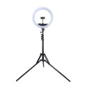 LED Ring Lamp 34.5cm with Tripod Stand up to 1.85m, Mirror, Phone Clamp, USB                        