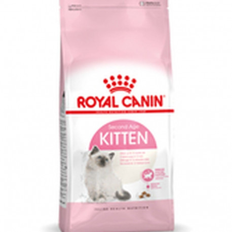 Kassitoit Royal Canin Kitten Kana 10 kg