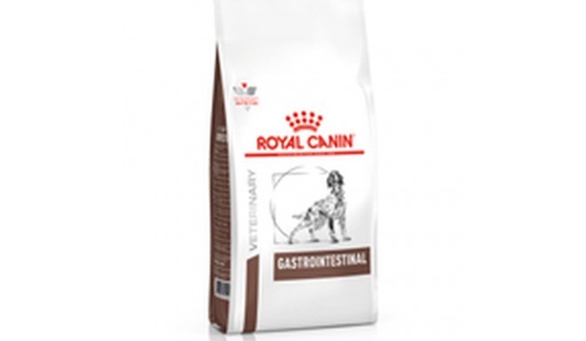 Sööt Royal Canin Gastrointestinal 15 kg