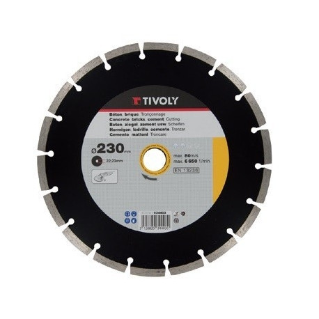 Diamond disc Tivoly segment 125x22,2mm
