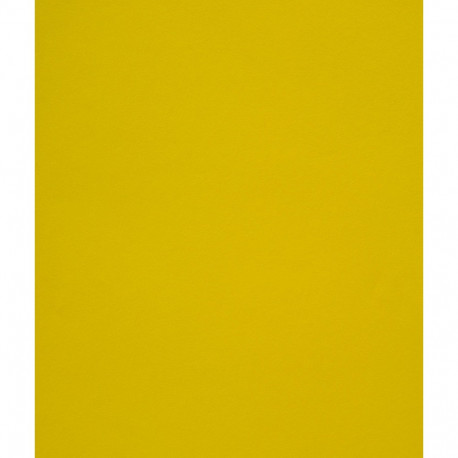 Disainpaber Curious Skin Absynthe A4 270g 10 lehte pakis