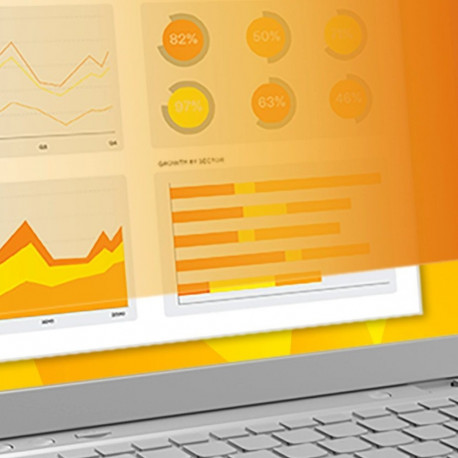 3M privaatsusfilter 11,6" GPF11,6 16:9 Wide, kuldne