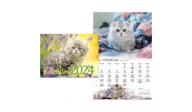 Seinakalender - Kassikalender 2025a.