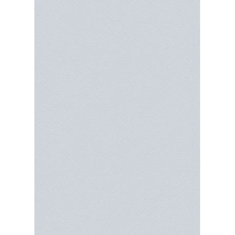 Käsitöökartong A4 220g, hõbe, Heyda