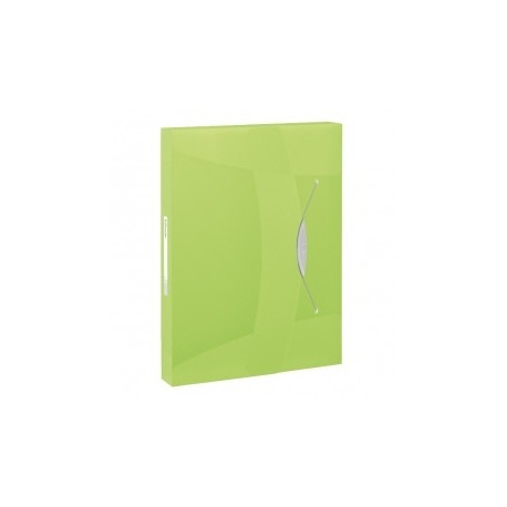 Kummiga karp 4cm Vivida A4 plast, roheline