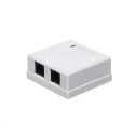 Seinakarp Cat6 2-le RJ45 UTP Jack&Box