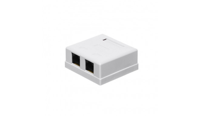 RJ45x2 Jack & Box white