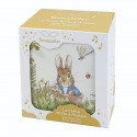 Trousselier Music Box with Drawer, Peter Rabbit, Dragonfly