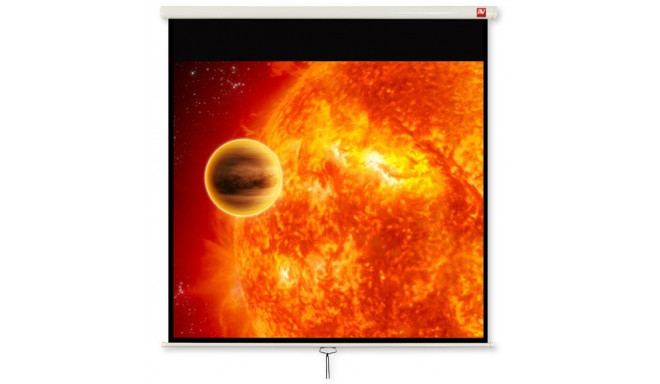 Avtek Video 240 projection screen 4:3