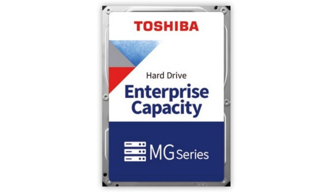 "20TB Toshiba Enterprise MG Series MG10ACA20TE"