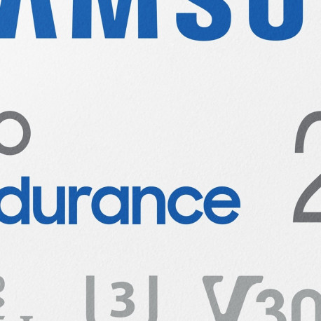 "CARD 256GB Samsung PRO Endurance MicroXC UHS-I U3 inkl. Adapter"