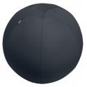 Istumispall/Tasakaalupall Leitz Ergo Active Sit Ball Anti-roll-away, Dark Grey/tumehall, 65cm, kuni 