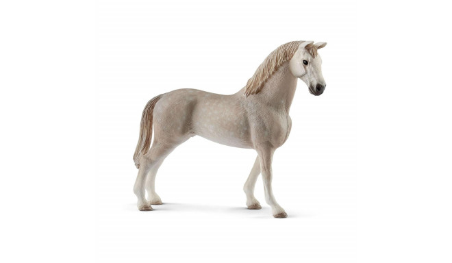 Holsteiner gelding figure