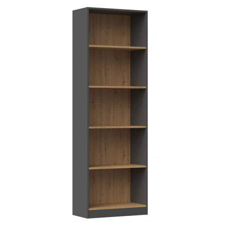 Topeshop R60 ANT/ART kontoriraamaturiiul