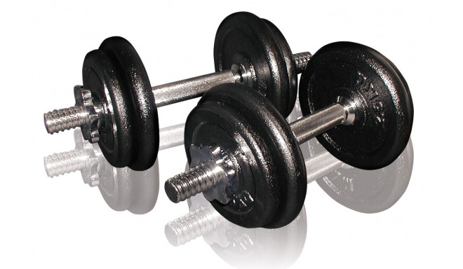 Cast iron weight dumbbells set with case TOORX 0.75-15 kg